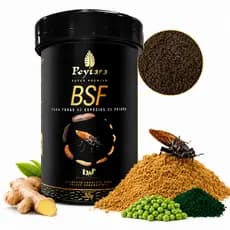 Poytara Bsf Black Soldier Fly Flakes 30g Ração Proteína Ração Peixe Betta Kinguio Guppy Neon Poytara
