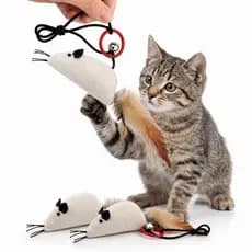 Ratinho Brinquedo Para Gato Rato Catnip Erva Estimulante De Gato Bege Divertido Interativo Natural