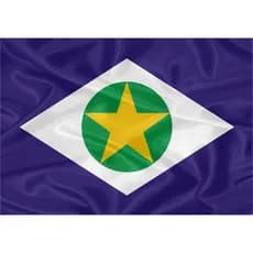 Bandeira de Tecido Mato Grosso