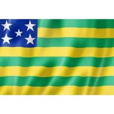 Bandeira  de Tecido  Personalizada Goiás