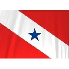 Bandeira de Tecido Personalizada do Pará