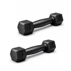 Kit Par Halter 1 Kg Sextavado Pintado - Peso De Academia