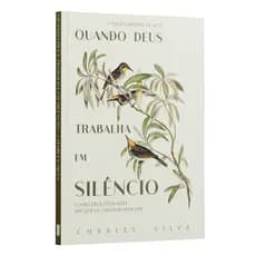 Quando Deus Trabalha em Silêncio - Como Deus Atua Além do que os Olhos Podem Ver