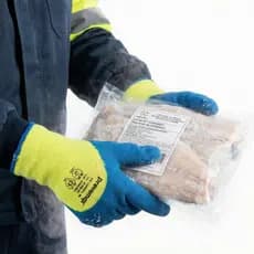 Luva Térmica Frigorífico Câmara Fria Baixa Temperatura -30º Par EPI Profissional