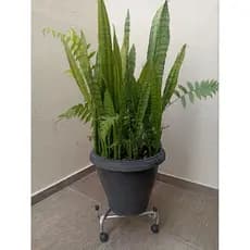 SUPORTE COM RODÍZIO PARA BOTIJÃO DE GÁS E VASO DE PLANTAS
