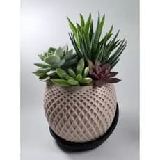 Vaso Decorativo para Suculentas