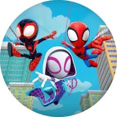 Painel Spider e Amigos Desenho Redondo 50x50 tecido sublimado com elastico LEIA A DESCRIÇÃO