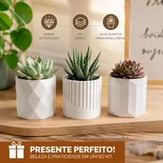 Kit 3 vasos decorativos para suculentas artificial moderno Decoração para casa