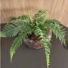 Arranjo de mesa Lagoon completo vaso de vidro com samambaia P