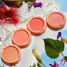 Blush Iluminador Shine Up Mahav