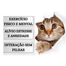 Pote com 50 Ratinhos Sonoros para Gatos Brinquedo Divertido Estimulação Instinto Caça Pet Petshop