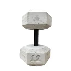 Halter de 12kg - Halter sextavado de cimento sem acabamento- Unidade - Treino em casa