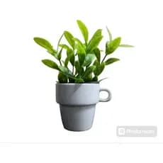 Arranjo xícara lembrancinha aniversário flor artificial realista 12cm