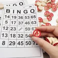 Kit Bingo De Madeira E Papel 75 Números E 18 Cartelas