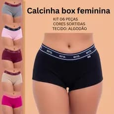 KIT 06 CUECA FEMININA ERA ADULTO EM ALGODÃO ( cores Sortidas de acordo com disponibilidade)