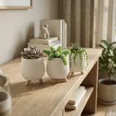 Kit Vaso Decorativo Cachepot Espiral Para Suculentas Plantas Sala Rack Vasinhos  Modernos