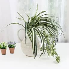 Planta Chlorophytum Pendurada Verde Artificial Parede Varanda P/Decoração Casamento, Arranjos,Festas mato e planta verde