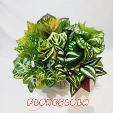 Plantas Folha Artificial Floral Folhagem P/ Decoração Casamento, Arranjos, Decorar Festas mato e planta verde
