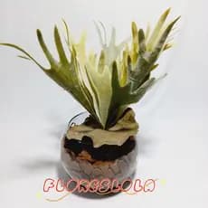 Suculenta Chifre de Veado Artificial sortida, 1 Suculenta avulsa / solta artificial , suculenta colorida, Suculenta Artificial Real Decoração  P/ Decoração Casamento, Arranjos, Decorar Festas e casa, banheiro, jardim, varanda