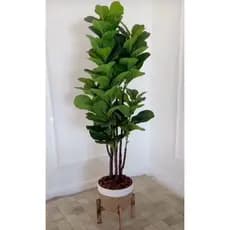 planta artificial ficus lyrata 1.10mt/sem o vaso