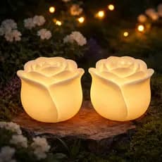 Kit Duas Rosas de LED pronto uso Decorativa – Presente Criativo e Aconchegante