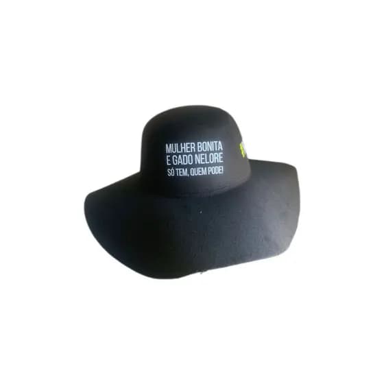 Chapeu Cata Ovo Natanzinho Rodeio Festa Caminhoneiro Com Bordao Frase Estampado