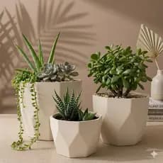 Kit Jogo 3 Vasos para Plantas Decorativo Cachepô Liso Injetado Centro Mesa Suculentas Cactos
