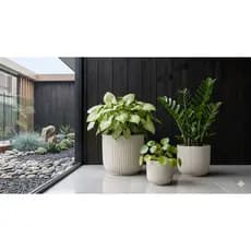 Kit com 3 Vasos para Plantas Decorativo Cachepô Moranga Liso Centro Mesa Suculentas Cactos N2 N3 N4