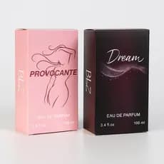 Kit 2 Perfumes Femininos Provocante + Dream 100ml Eau de Parfum Ref Importada