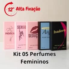 Kit Com 05 Perfumes Femininos Ref Importada 100ml Eau de Parfum
