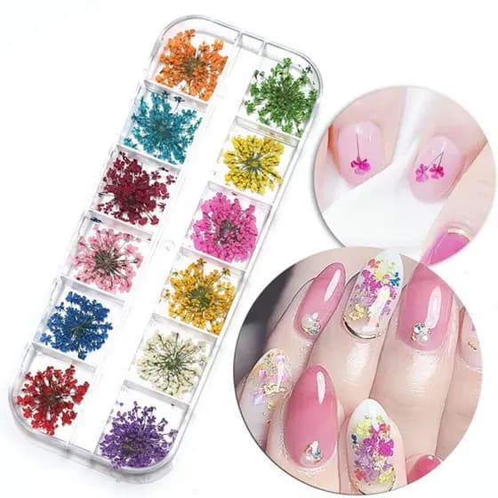 Caixinha com 12/24/36 Flores Secas Encapsulamento Decoração Unhas De Gel