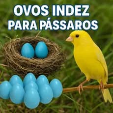 Ovos Indez para Pássaros N1 Azul Canário Ornamentais  Ovo Falso de Plástico
