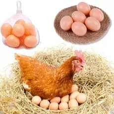 Kit 12 Ovos Caipiras Falsos De Plástico Ovos Artificiais Indez Galinha Ovo Falso