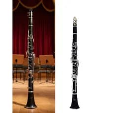 Clarinete Shelter Bb Sib 17 Chaves Abs Profissional Com Case