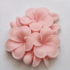 Kit com 10 Sabonete Flor de Jasmim