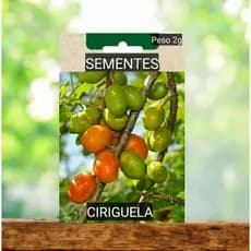 Semente Ciriguela Gigante vaso Jardim terra plante OFERTA
