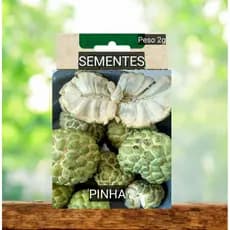 Sementes Fruta do Conde PINHA  doce plante em vaso Jardim horta terra Oferta #3