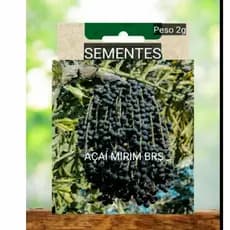 Kit SEMENTES AÇAÍ Brs Anão DELICIOSO  plante vaso horta terra OFERTA #15