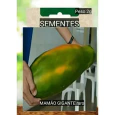 kit SEMENTES MAMAO Gigante Vermelho até 8 kilos
