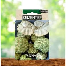 Sementes Fruta do Conde PINHA  doce plante em vaso Jardim horta #4