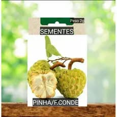 Sementes Fruta do CONDE PINHA  doce plante em vaso Jardim horta terra Oferta #4