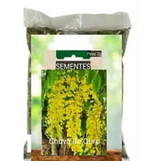 kit Sementes Chuva de OURO natural plante Vaso Jardim