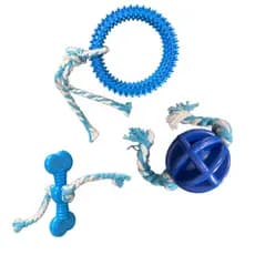 Kit de Brinquedos Para Cachorro: Bola, Osso e Anêmona