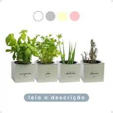 Kit Vasos Quadrados Autoirrigáveis Minha Horta Hortinha Salsa Alecrim Manjericão Cebolinha
