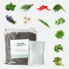 Kit Plantio Terra e Sementes Erva Doce Camomila Erva Cidreira Coentro Cebolinha Manjericão Alface