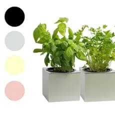 Vaso Quadrado Autoirrigavel 10cm x 11cm Horta Inteligente Mini Horta Suculenta Decorativo