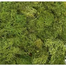 Musgo Artificial Fofão 40 g