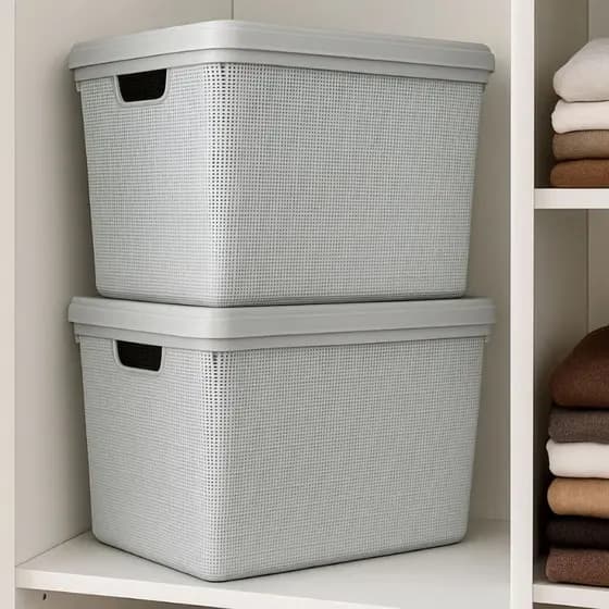 Kit 2 Caixa Organizadora com Tampa Grande Banheiro Cozinha 22 Litros