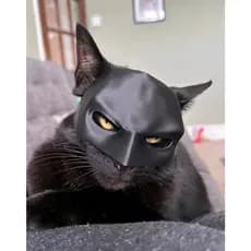 Máscara Batman para Gatos