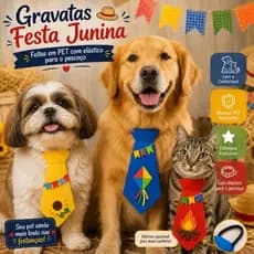 Kit Gravata Festa Junina Arraia em EVA  Colorida Festa Caipira com Fio de Nilon pra Amarrar